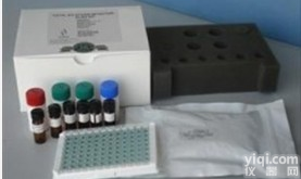 人<em>瘢痕</em>性天疱疮抗体(CP)ELISA检测试剂盒<em>市场价格</em>