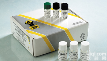 人白介素8(IL-8)ELISA<em>试剂盒</em>ZD<em>推荐</em>购买，质量保证，说明书<em>推荐</em>
