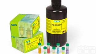 人胎盘生长因子ELISA试剂盒(PLGF)<em>无忧</em>购买<em>品质保证</em>