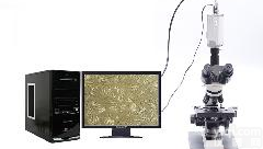 光学显微镜及<em>成像</em><em>设备</em>, 结构分析科研农业专用光学显微镜及<em>成像</em><em>设备</em>