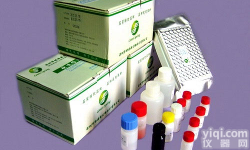 人<em>二胺</em><em>氧化酶</em>(DAO)ELISA检测<em>试剂盒</em>，人ELISA<em>试剂盒</em>