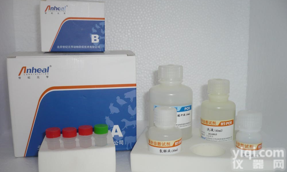 人蛋白二硫化物<em>异构酶</em>A3(PDIA3)ELISA检测<em>试剂盒</em>，人ELISA<em>试剂盒</em>