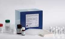 原代肝<em>实质</em><em>细胞</em>特制基础<em>培养基</em>