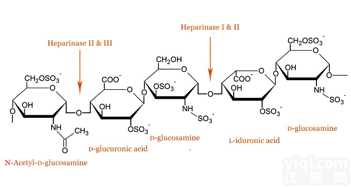 <em>肝素</em>酶II，来源于<em>肝素</em>黄<em>杆菌</em>