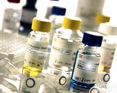 人蛋氨酸脑啡肽(methionine-enkephalin)ELISA试剂盒