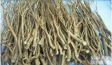 <em>柴胡提取物</em> <em>柴胡提取物</em>厂家