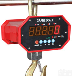 上海朗科LP7650<em>通用型</em>直视式<em>电子</em>吊秤，朗科直视吊秤