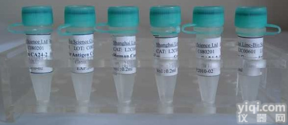 Anti-TCRG,T细胞<em>受体</em>γ<em>抗体</em><em>现货</em>