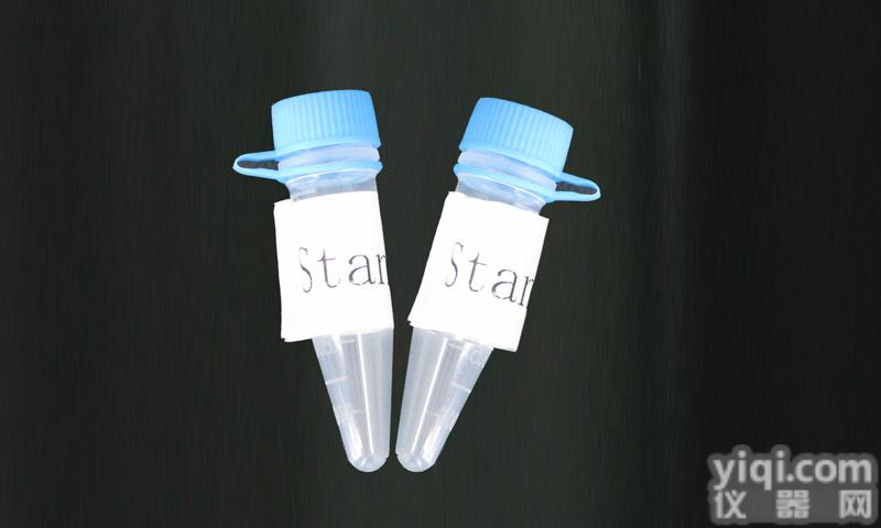 Anti-TIMP-4抗体,FITC<em>标记</em>的<em>金属</em>蛋白酶组织YZ因子-4抗体