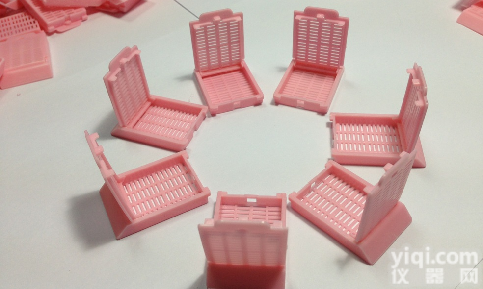 <em>分体</em>后开盖<em>包埋盒</em>（不带井，条形孔）