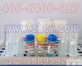 GST标签融合<em>蛋白纯化</em><em>试剂盒</em>