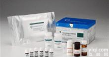 人anti-HDVELISA试剂盒<em>价格</em>，北京人抗丁型肝炎病毒<em>抗体</em>ELISA<em>价格</em>