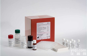 大鼠5<em>羟色胺</em>（5HT）ELISA<em>试剂盒</em><em>价格</em>