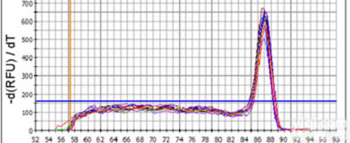 <em>荧光定量PCR技术服务</em>