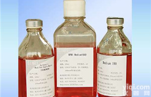 胎牛血清（<em>南美</em>）30087.02价格