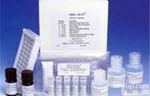 <em>小鼠</em><em>支原体</em>ELISA<em>试剂盒</em>价格