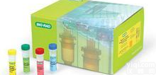 人β半乳<em>糖苷酶</em>(βGAL)elisa<em>试剂盒</em><em>生产厂家</em>