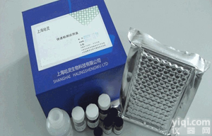 人<em>麦角</em>蛋白IgA(Gliadin-IgA)ELISA<em>试剂盒</em>价格<em>现货</em>