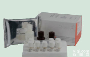 牛<em>病毒性</em>腹泻<em>抗体</em>（BVD Ab）ELISA<em>试剂盒</em>价格