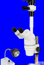 <em>泰克</em><em>显微镜</em>XTS20连续变倍体视<em>显微镜</em>