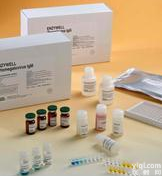 小鼠骨保护素配体elisa<em>试剂盒</em>,小鼠(<em>OPGL</em>)elisa<em>试剂盒</em>