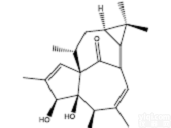 20-去氧<em>巨大</em>戟萜醇<em>标准品</em>，20-去氧<em>巨大</em>戟萜醇对照品