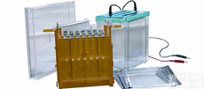 一体式双向电泳仪 ，高<em>透明</em>度聚碳酸脂<em>注塑成型</em>电泳仪