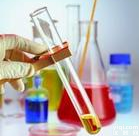 <em>Cytokeratin</em> 20 (<em>KRT20</em>)，Rabbit Monoclonal