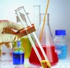 板蓝根<em>提取物</em>，Radix isatidis P.E.