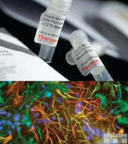 <em>6-氯苯并三氮唑-1,1,3,3-四甲基脲六氟磷酸酯</em>，330645-87-9