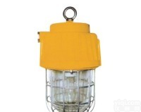 <em>乐清</em><em>亚安</em>防爆提供TBG8170隔爆型<em>防爆灯</em>