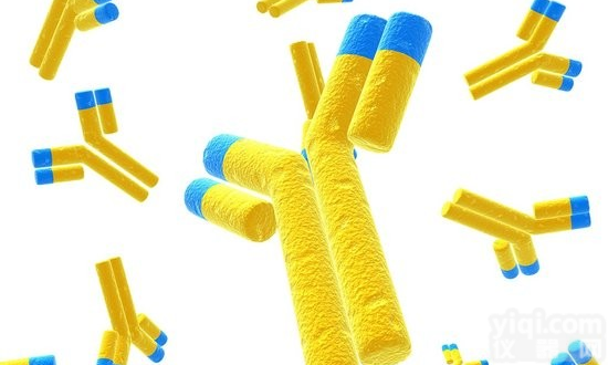 Anti-<em>Somatostatin</em> Receptor 5,生长抑素受体5抗体<em>价格</em>