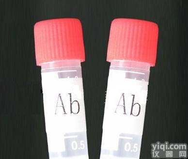 Anti-TGF Beta R3,转移生长因子β<em>受体</em>3<em>抗体</em>来电<em>咨询</em>