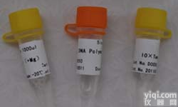 Anti-TEM1,内涎<em>蛋白</em>/<em>内皮</em><em>唾液酸</em><em>蛋白</em>抗体供应商