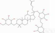 绞股蓝皂苷<em>XVII</em>，绞股蓝皂苷<em>XVII</em><em>标准品</em>，80321-69-3