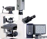 倒置<em>显微镜</em>-上海蔡康<em>光学仪器</em>厂专业生产倒置<em>显微镜</em>