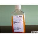 PAA <em>A15-101 胎牛血清</em>