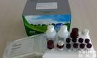 <em>试剂盒</em>Z便宜sMHC-2 kit,小鼠<em>可溶性</em>肌球蛋白重链2Elisa<em>试剂盒</em>(免费<em>说明书</em>提供)