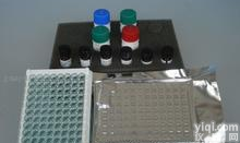 elisa<em>试剂盒</em>哪家好 AFP kit,小鼠甲种胎儿球<em>蛋白</em>/甲胎<em>蛋白</em>Elisa<em>试剂盒</em>(免费<em>说明书</em>提供)