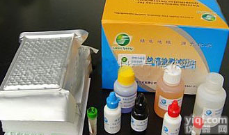 <em>试剂盒</em>Z便宜cAMP kit,兔环磷酸<em>腺苷</em>Elisa<em>试剂盒</em>(免费说明书提供)