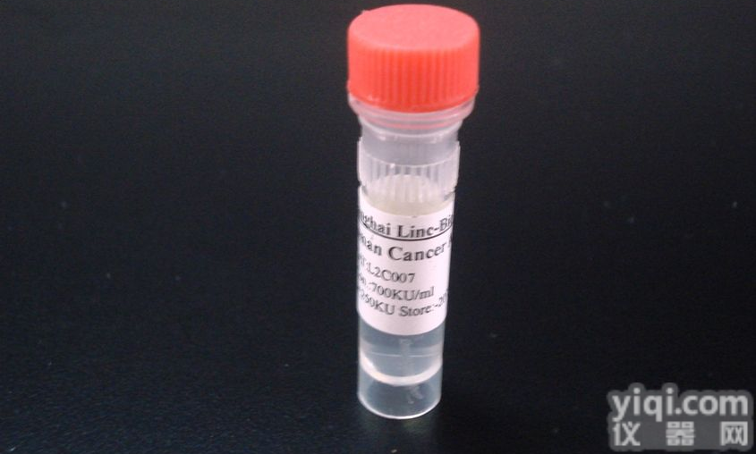 Anti-GAPDH,小鼠抗3-磷酸甘油醛脱氢酶单克隆,<em>抗体</em>促销,<em>打折</em>(内参,抗