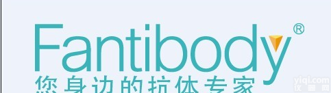 Rabbit anti-Rb <em>磷酸化</em> (pS608) (RB1) <em>单克隆</em> 抗体