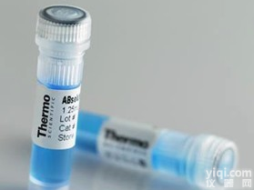 Anti-ABCG4,抗ABC膜转运蛋白,<em>抗体</em>促销,<em>打折</em>