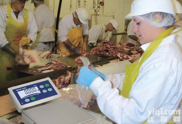 梅<em>特勒</em>BBA228-8CC600不锈钢电子秤特价托<em>利多</em>600KG防水<em>台秤</em>价格