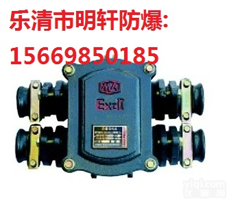 100A4通<em>隔爆型</em>电缆<em>接线盒</em>BHD2-100/4T<em>接线盒</em>