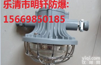 DGS36/127L(A)圆形LED<em>巷道</em><em>照明灯</em>