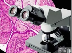 <em>奥林巴斯CX31生物显微镜</em>，奥林巴斯CX31价格、厂家