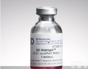 BD <em>Matrigel</em><em>基质</em>胶356234/BD<em>基质</em>胶354248，北京代理<em>基质</em>胶