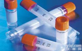 Anti-DBH<em>打折</em>,β-Hydroxylase)<em>多巴胺</em>β羟化酶<em>打折</em>,抗体促销