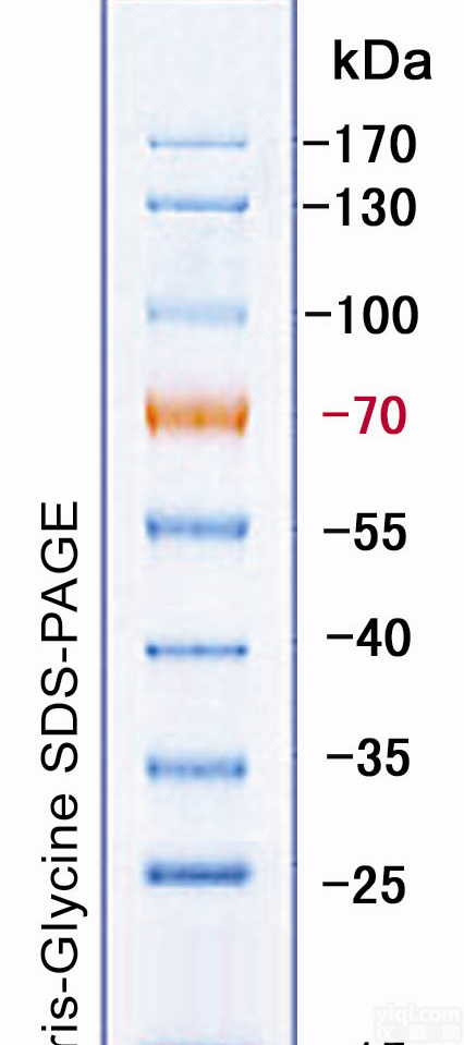 北京特价 低<em>分子量</em>蛋白Marker I,低<em>分子量</em>蛋白Marker I <em>说明</em>书